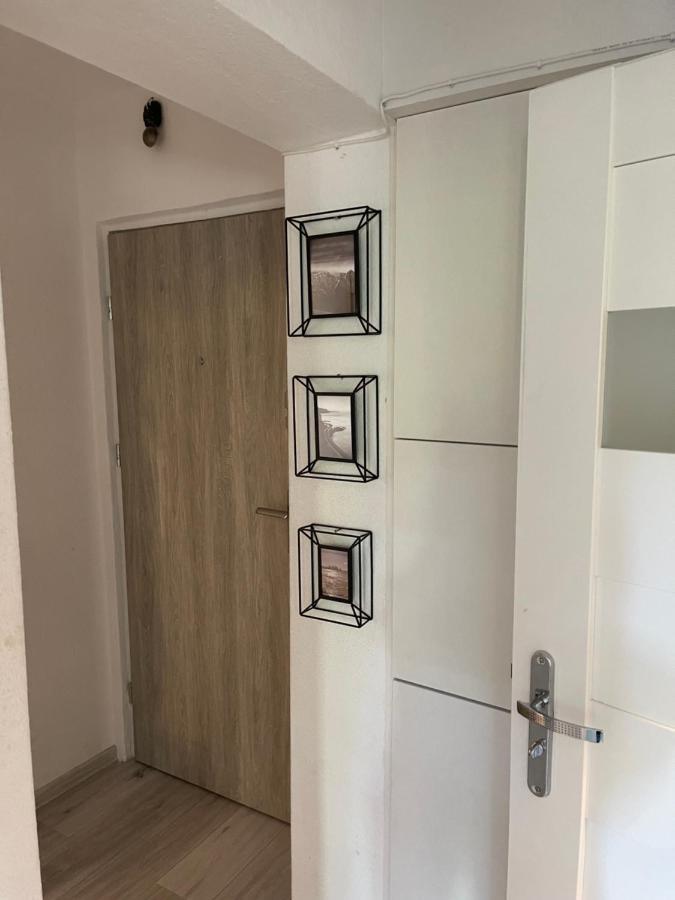 Apartament Zabia Белосток Экстерьер фото
